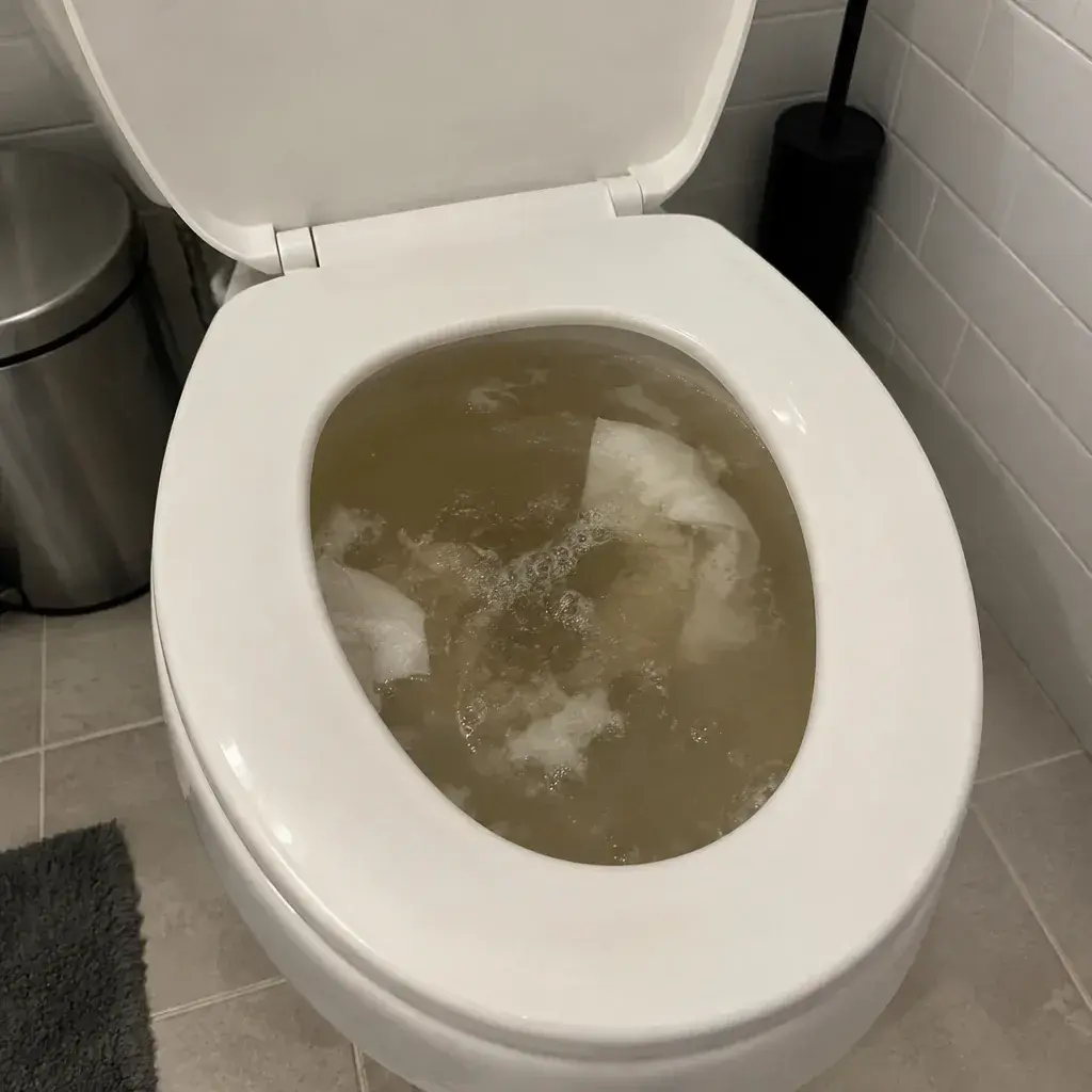Storm Sewer Backup Cleanup sewer backup cleanup in Minnesota